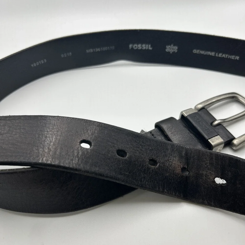 Fossil mb136100138 brown